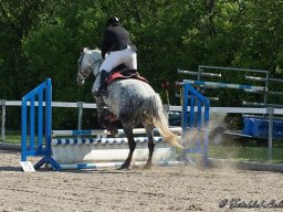 dsc-0092-051
